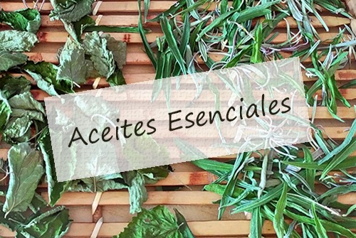 Aceites_esenciales
